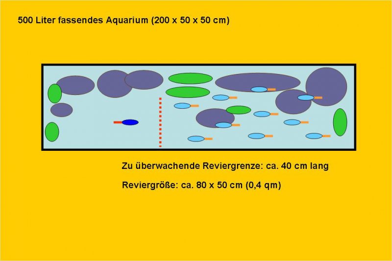 Aggressionsverhalten_Aqu_Schema_Andreas_Spreinat.jpg