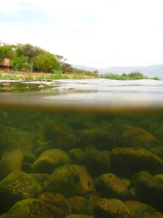 Shore Lake Tanganyika by Jennifer O. Reynolds