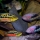 Chuco intermedium, Trichromis salvini & Vieja bifasciata - Jan Fioole