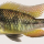 Gymnogeophagus peliochelynion: boven, paratype, man, ZVC-P 13210, paratype, 76.3 mm SL, río Arapey, Colonia Lavalleja, Paso Elías, Salto, Uruguay