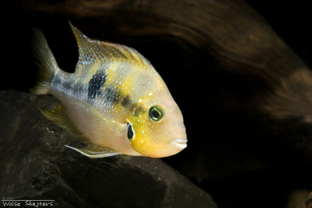 Man "laguna catazaja"